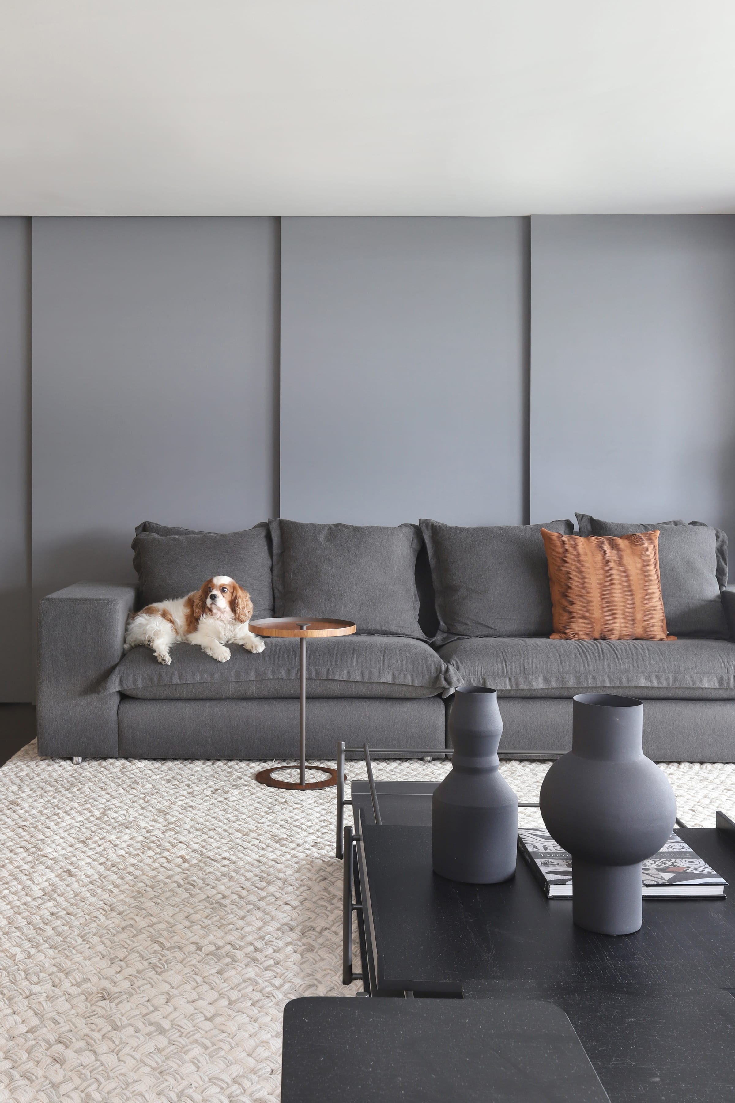Cavalier King Charles Spaniel no sofá cinza com vasos brancos, apartamento Perdizes 2019, acervo INSIDE
