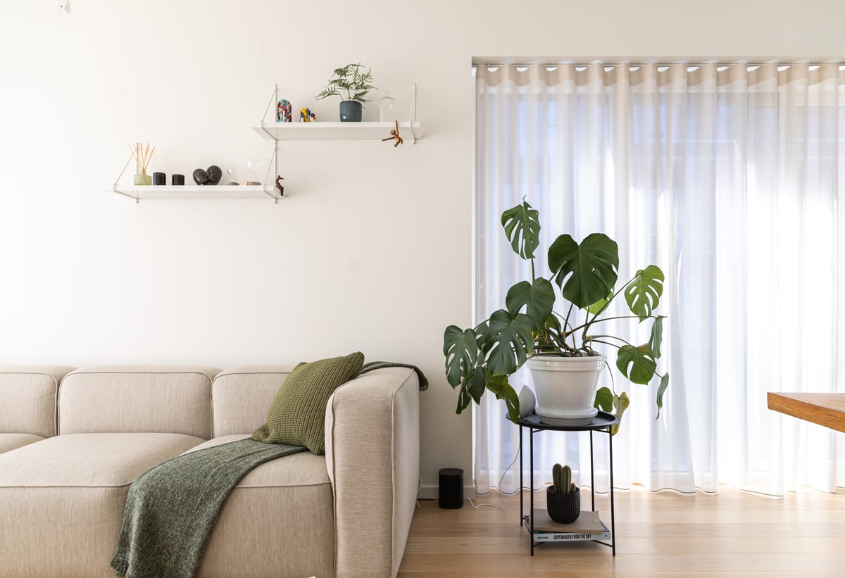 Copenhague-CM · O canto do sofá com a monstera, projeto INSIDE remoto em Copenhague, 2022